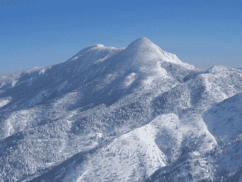 泰国供卵供精试管费用，泰国试管婴儿费用甄选恒嘉国际V选
