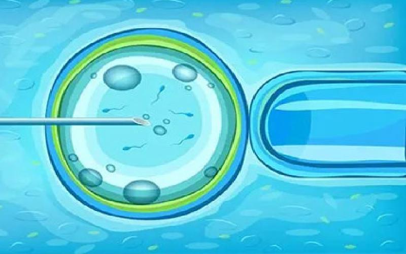 EPT试管婴儿代生